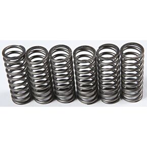 EBC Clutch Springs Csk201