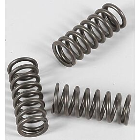 EBC Clutch Springs Csk202