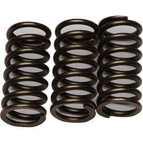 EBC Clutch Springs Csk203