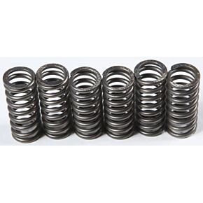 EBC Clutch Springs Csk210