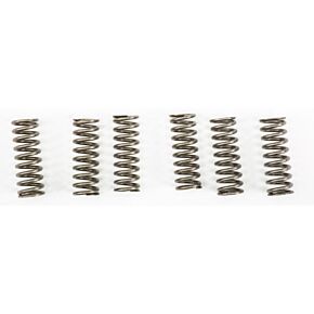 EBC Clutch Springs Csk213