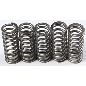 EBC Clutch Springs Csk214