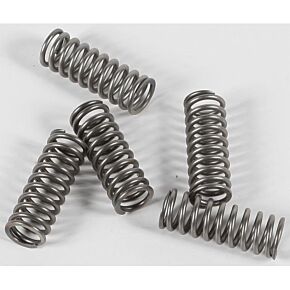 EBC Clutch Springs Csk215