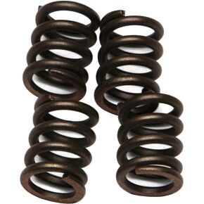 EBC Clutch Springs Csk22