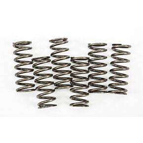 EBC Clutch Springs Csk221
