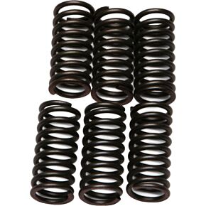 EBC Clutch Springs Csk24