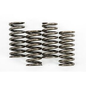 EBC Clutch Springs Csk248