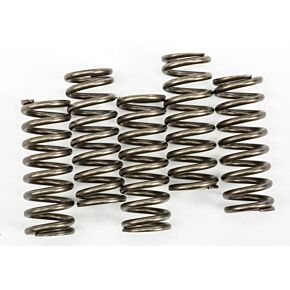 EBC Clutch Springs Csk254