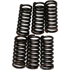 EBC Clutch Springs Csk29