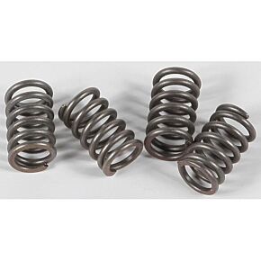 EBC Clutch Springs Csk3