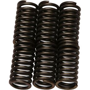 EBC Clutch Springs Csk30