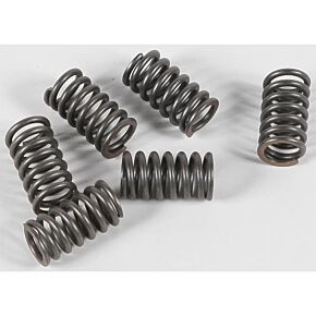 EBC Clutch Springs Csk31