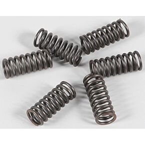 EBC Clutch Springs Csk33