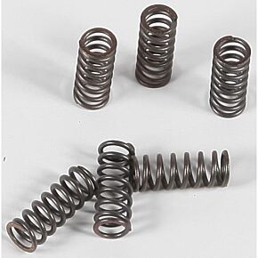 EBC Clutch Springs Csk39