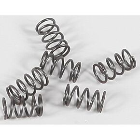 EBC Clutch Springs Csk40