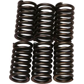 EBC Clutch Springs Csk41