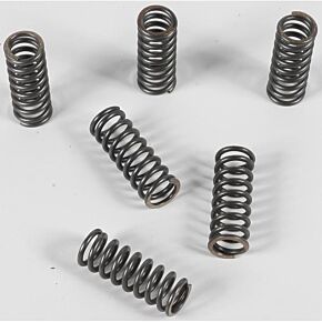 EBC Clutch Springs Csk45