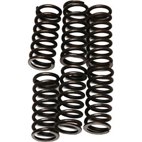EBC Clutch Springs Csk46