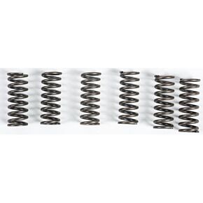 EBC Clutch Springs Csk49