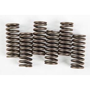 EBC Clutch Springs Csk53