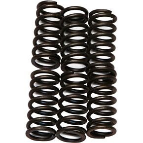 EBC Clutch Springs Csk6