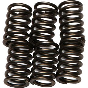 EBC Clutch Springs Csk64