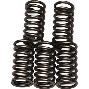 EBC Clutch Springs Csk65