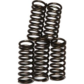 EBC Clutch Springs Csk66