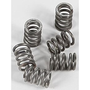 EBC Clutch Springs Csk71