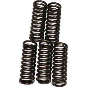 EBC Clutch Springs Csk73
