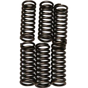 EBC Clutch Springs Csk75