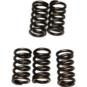 EBC Clutch Springs Csk78