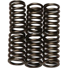 EBC Clutch Springs Csk88
