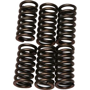 EBC Clutch Springs Csk9
