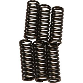 EBC Clutch Springs Csk92