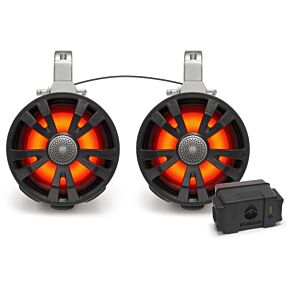ECOXGEAR 2-pack Black 8' Speakers One Amplified + Battery One No
