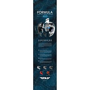 FLY RACING Formula One Helmet Banner 2020