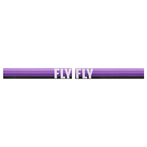 FLY RACING Zone Goggle Purple/black W/ Sky Blue Mirror/smoke Lens