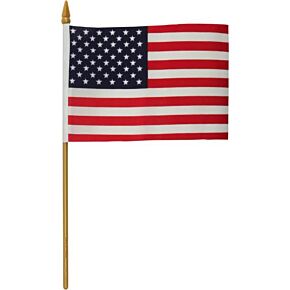 HARDDRIVE Replacement Flag 4x6 No Mount