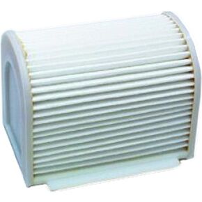 HIFLOFILTRO Air Filter