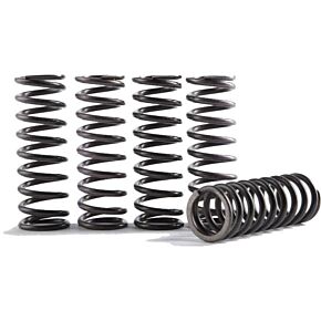 HINSON High Temp Springs 5 Springs