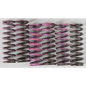 HINSON High Temp Springs 6 Springs