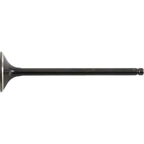 HOT CAMS Exhaust Valve Titanium