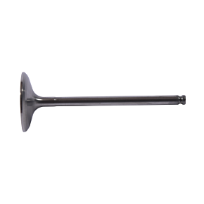 HOT CAMS Intake Valve Titanium