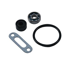 HOT RODS Water Pump Kit Kaw