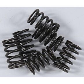 KG High Performance Spring Set