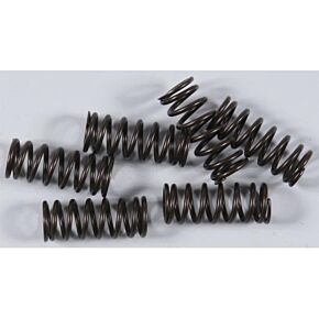 KG High Performance Spring Set