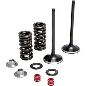 KPMI Intake Valve Spring Kit