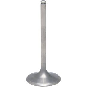 KPMI Intake Valve
