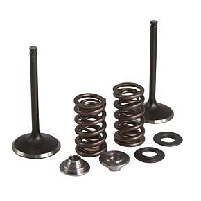 KPMI Intake Valve/spring Kit Stainless Steel Yam